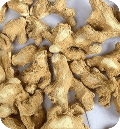 Fresh Dry Ginger Root​​​