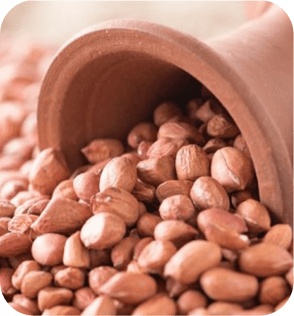 Groundnut​​