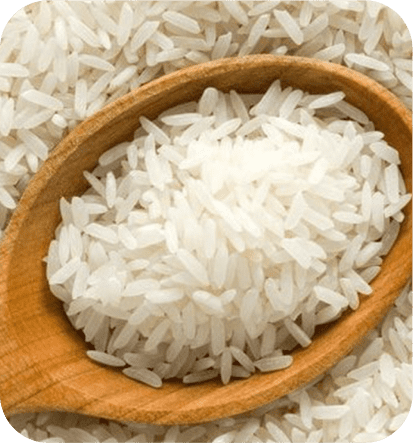 Rice​